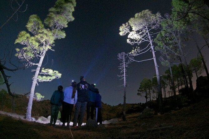 Sunset Hike and Stargazing Experience in Roque Nublo Mountains - A mountain evening above the clouds