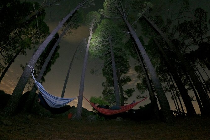Sunset Hike and Stargazing Experience in Roque Nublo Mountains - A blanket, hot drink, and mountain picnic