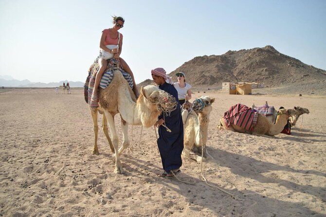 Super Safari 5In1quad Camel Ride Dinner African Nubian show star gazing in sharm - A short camel ride and Bedouin camp stop
