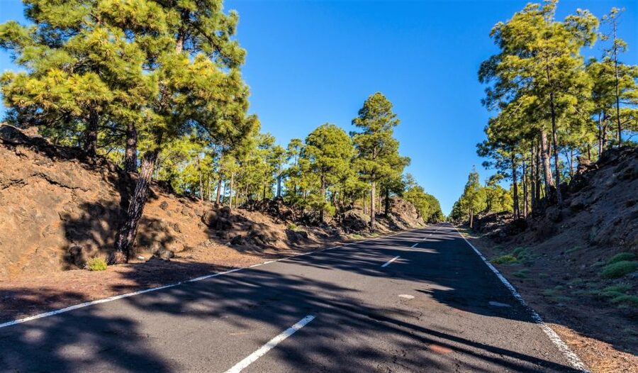 Teide: Guided Sunset & Stargazing Tour by Night with Dinner - Teide National Park by daylight