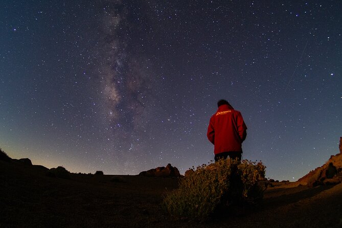 Teide National Park: Stargazing Experience - Is $42.33 a fair price?