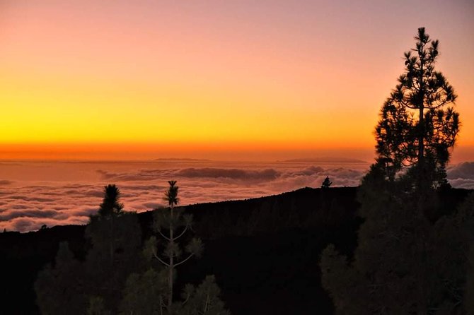 Teide National Park Sunset & Stargazing with Dinner (Star Safari) - Prepare for cold ground, not just cold air