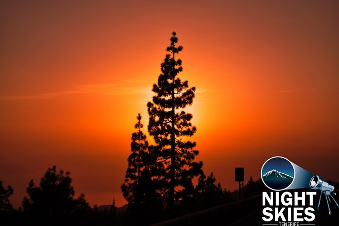 Teide National Park Sunset & Stargazing with Dinner (Star Safari) - The coach ride from Los Cristianos