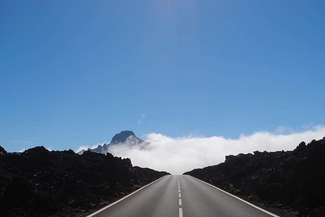 TEIDE NIGHT Astronomy Stargazing Bus Tour, Meal & Drinks included! - Learning the sky with lasers and telescopes