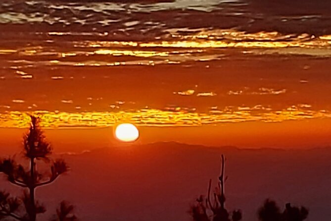 TEIDE NIGHT, Stargazing Bus Tour, Meal & Drinks included! - When weather changes the plan