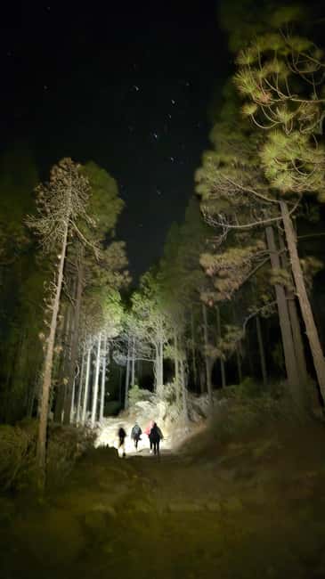 Tejeda: Sunset & Night Sky Guided Astronomy Hiking Tour - Getting to the campground meeting point