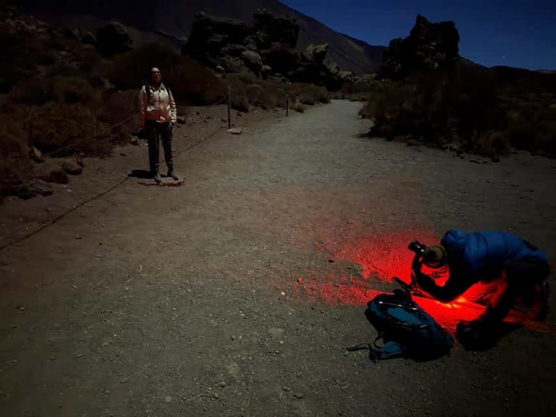 Tenerife: Stargazing Walk in Teide National Park - Why a Teide night walk is worth your evening