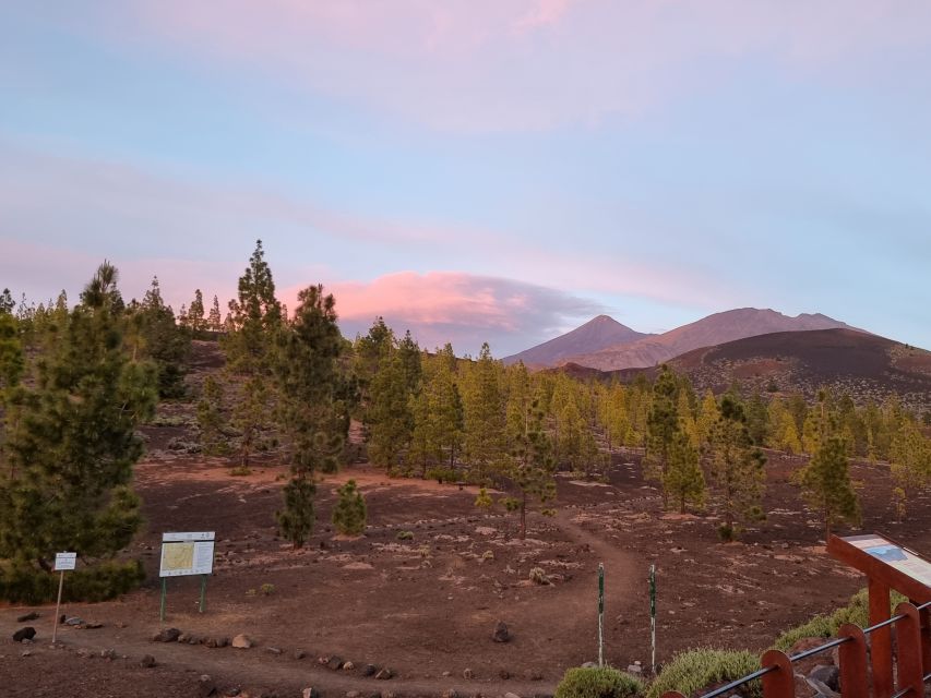 Tenerife: Sunset and Stargazing at Teide National Park - Practical verdict: should you book?