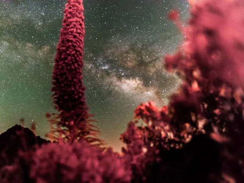Tenerife: Teide Stargazing with an Astrophysicist - The small group makes the telescope more useful