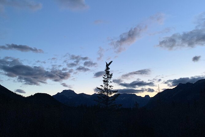 The Banff Stargazing Tour - 2hr Walking Tour - Why Banff after dark feels so different