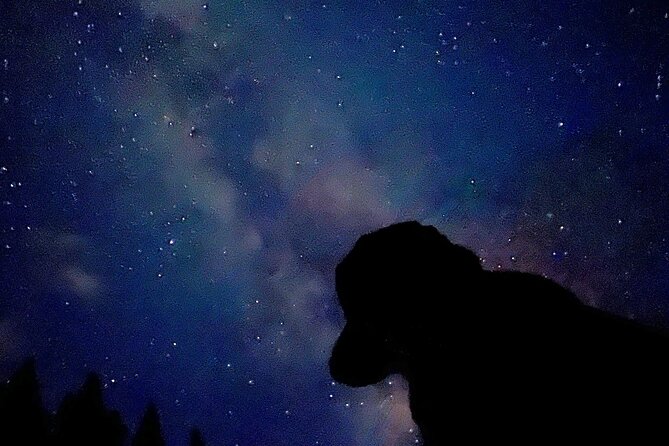 The Banff Stargazing Tour - 2hr Walking Tour - The sunset walk into Banff National Park