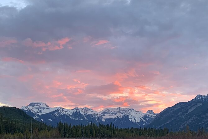 The Banff Stargazing Tour - 2hr Walking Tour - Photography help for your phone