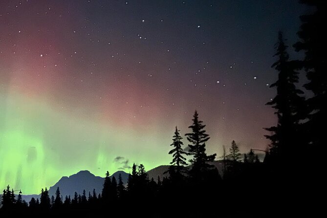 The Banff Stargazing Tour - 2hr Walking Tour - Is the $68.34 price fair?