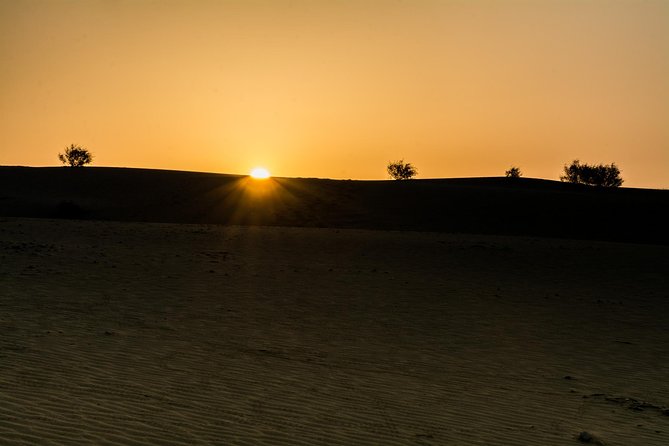 The Billion stars Experience in the Desert - Why this desert night feels different