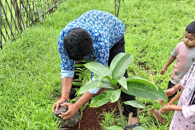 Tour De Small Town Maharashtra Nature Trekking and Star Gazing - Key points to know before you go