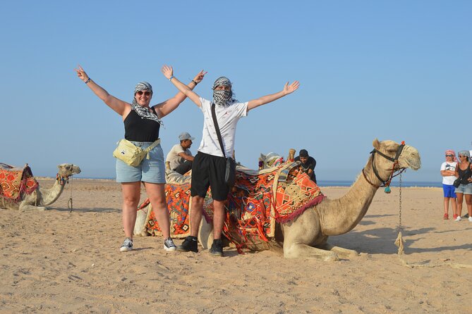 Tour in Hurghada Arabian Night and Star Watching - Camel and horse rides near the camp