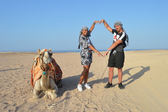 Tour in Hurghada Arabian Night and Star Watching - The oasis farm and its animals