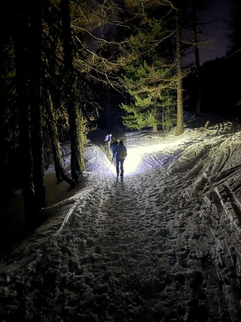 Vialattea: Night Snowshoeing under the Stars - The first 80 minutes through the larch woods