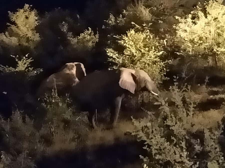 Victoria Falls: Bush Experience and Stargazing D-F-ES-GB - Is the $95 price fair?