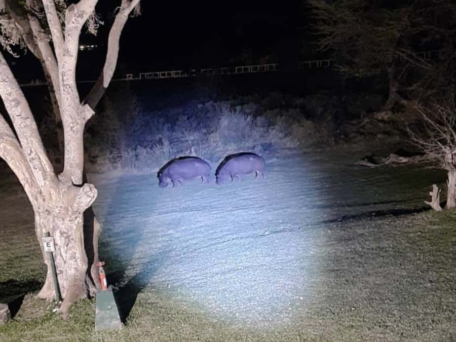 Victoria Falls: Bush Experience and Stargazing D-F-ES-GB - Who will enjoy this night adventure