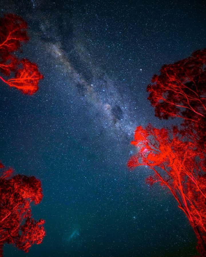 Vincentia: Jervis Bay Beach Stargazing with an Expert - Is the $65 price good value?