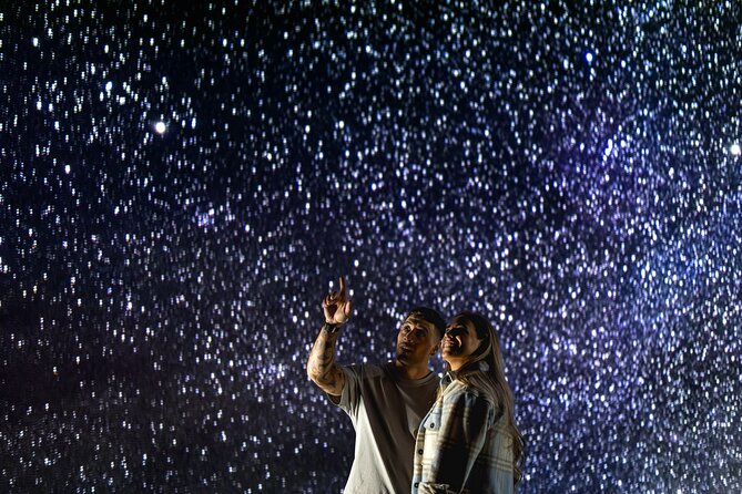 Virtual Stargazing & Astronomy Experience in Lake Tekapo - Is $55.07 a fair price?