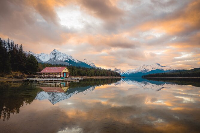 Wildlife Wild Skies: Jasper Planetarium Combo - Jasper wildlife before the stars
