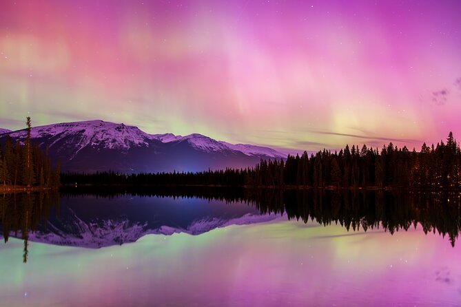 Wildlife Wild Skies: Jasper Planetarium Combo - Three hours on the wildlife search