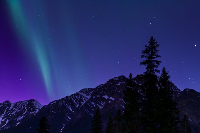 Wildlife Wild Skies: Jasper Planetarium Combo - The biggest issue is the connection between tours