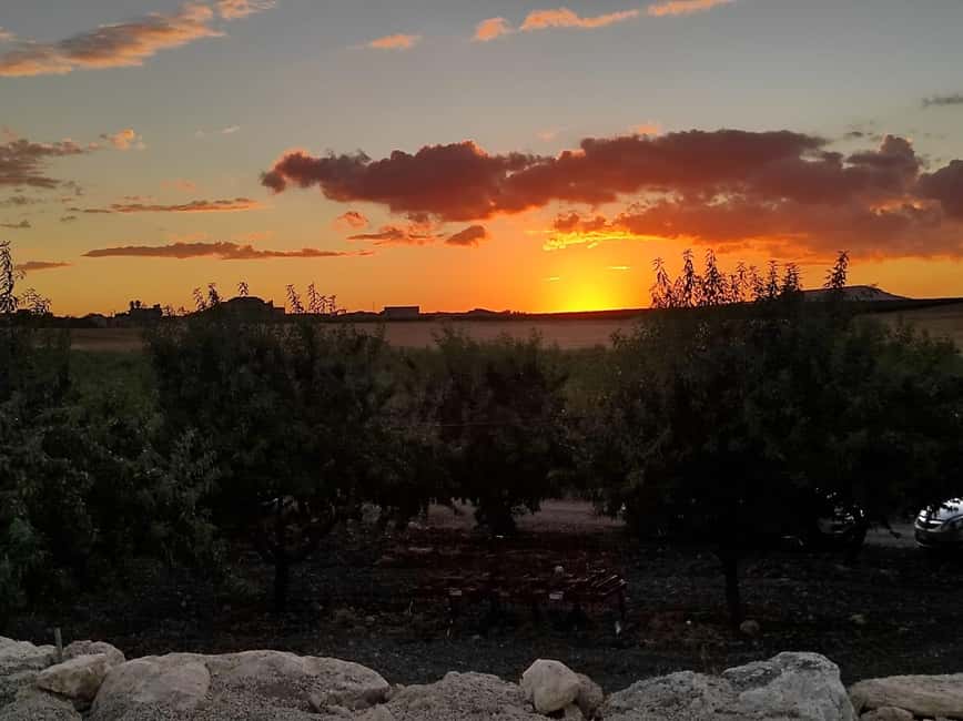 Wine tasting under the Stars in the vineyards of Agrigento - Is $77 a fair price?