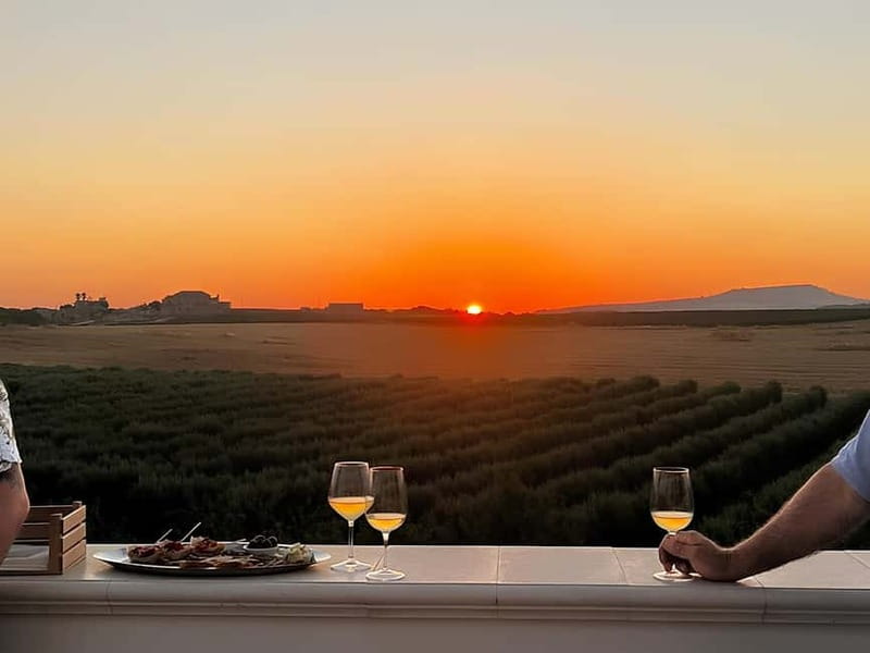 Wine tasting under the Stars in the vineyards of Agrigento - Inside the winery: tradition with a modern side